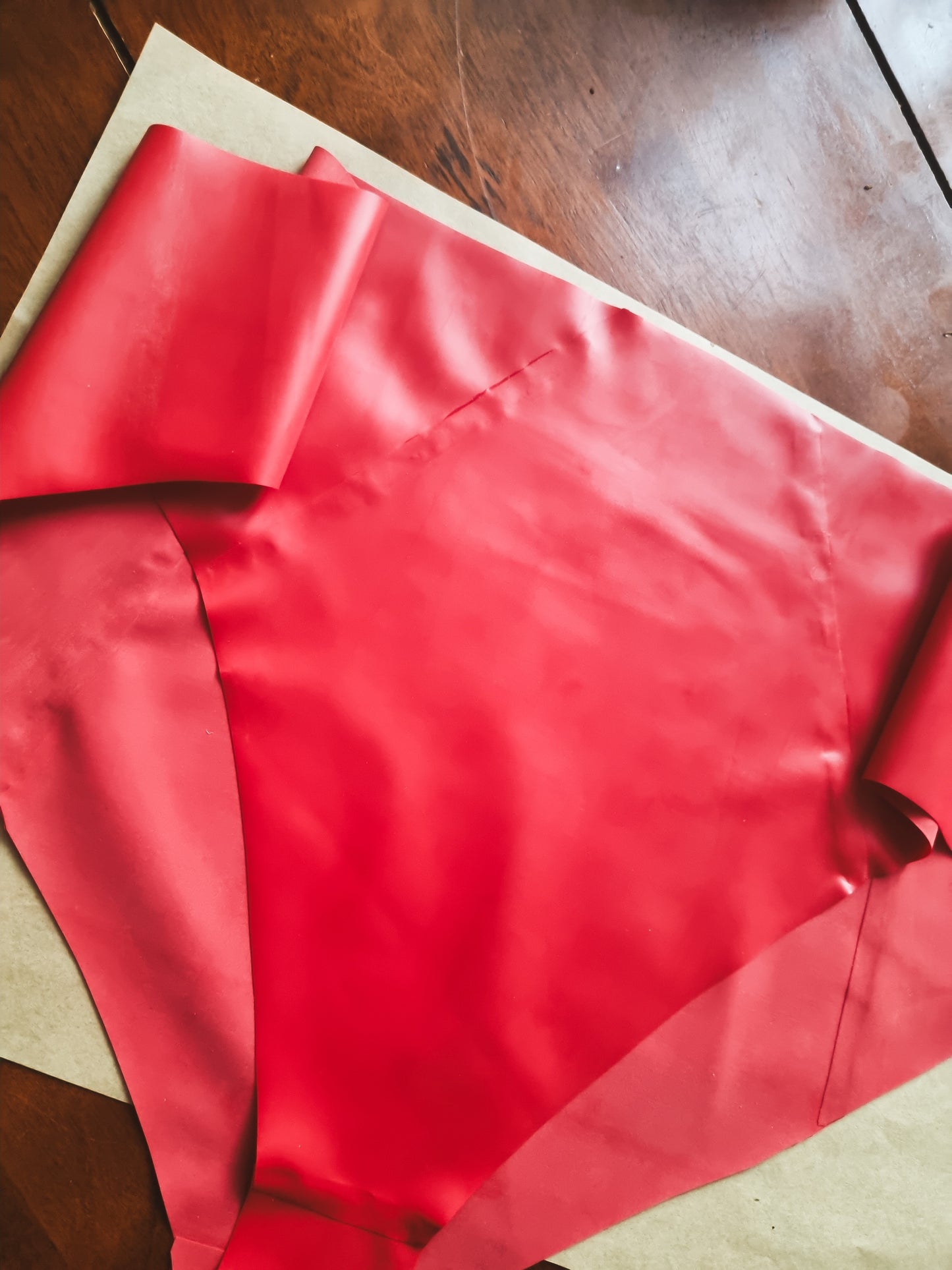 Firetruck Red Latex Briefs